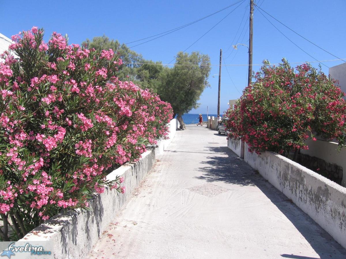 Evelina Beach Pension A Breath Away From The Black Beach Offer Plenty Of Accommodation Type To Suit Every Traveler'S Needs-Economic Rooms-Thematic Rooms-Design Rooms-Kitchenette Rooms-Studios-Small Apartments Perissa (Santorini) Exterior foto