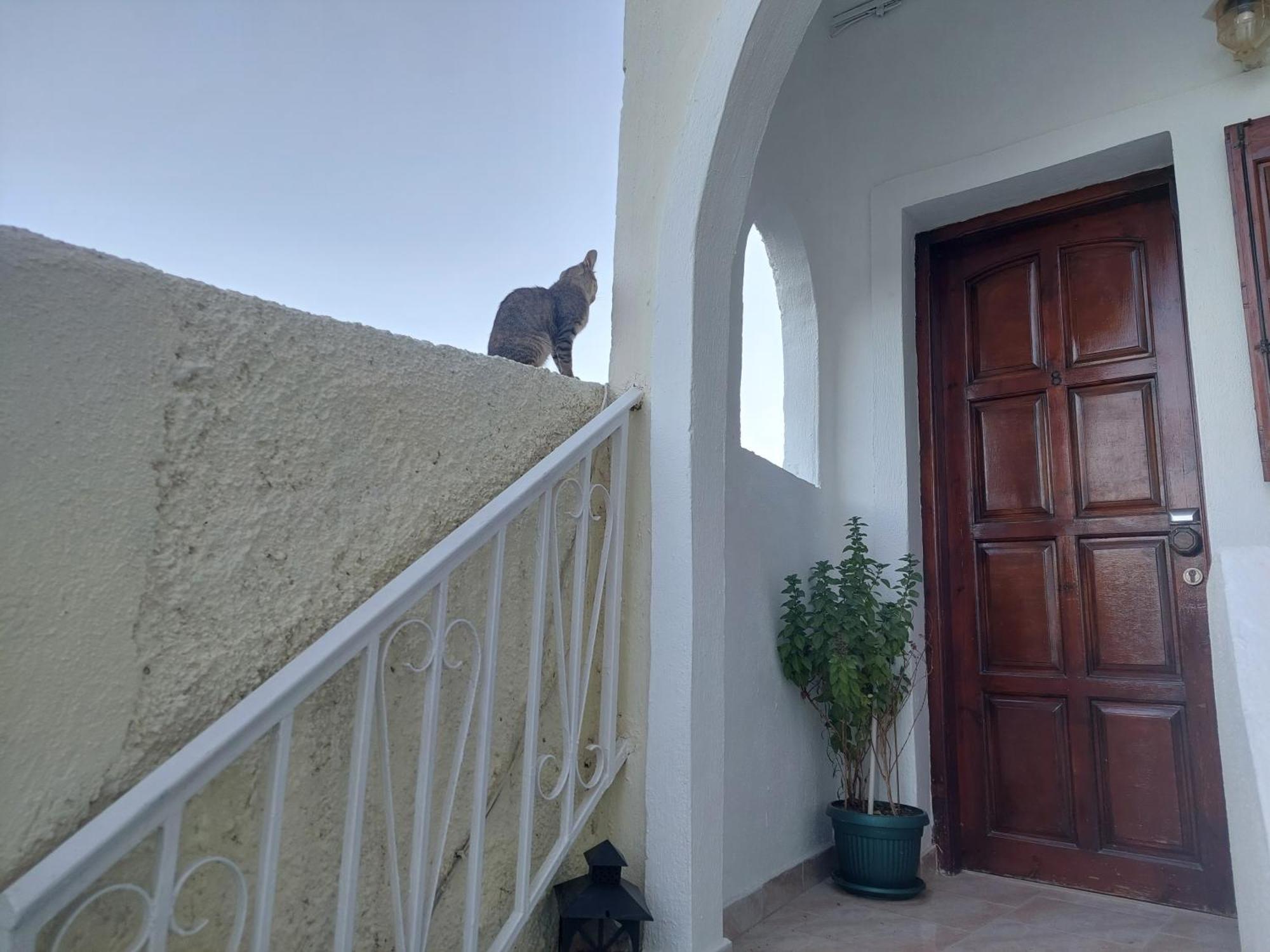 Evelina Beach Pension A Breath Away From The Black Beach Offer Plenty Of Accommodation Type To Suit Every Traveler'S Needs-Economic Rooms-Thematic Rooms-Design Rooms-Kitchenette Rooms-Studios-Small Apartments Perissa (Santorini) Exterior foto